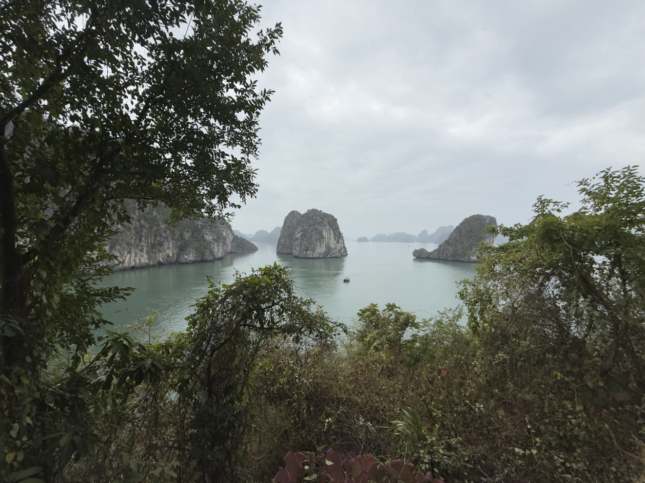 Reportages & documents